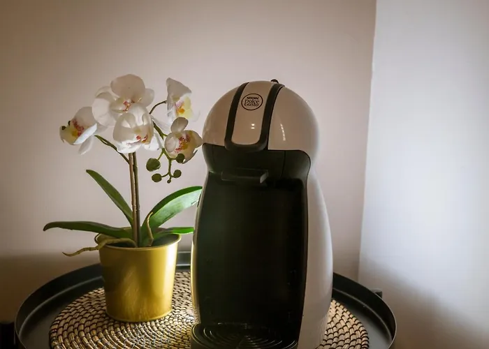 Loft En Zona Puerto Palmas De Gran Canaria 公寓 *